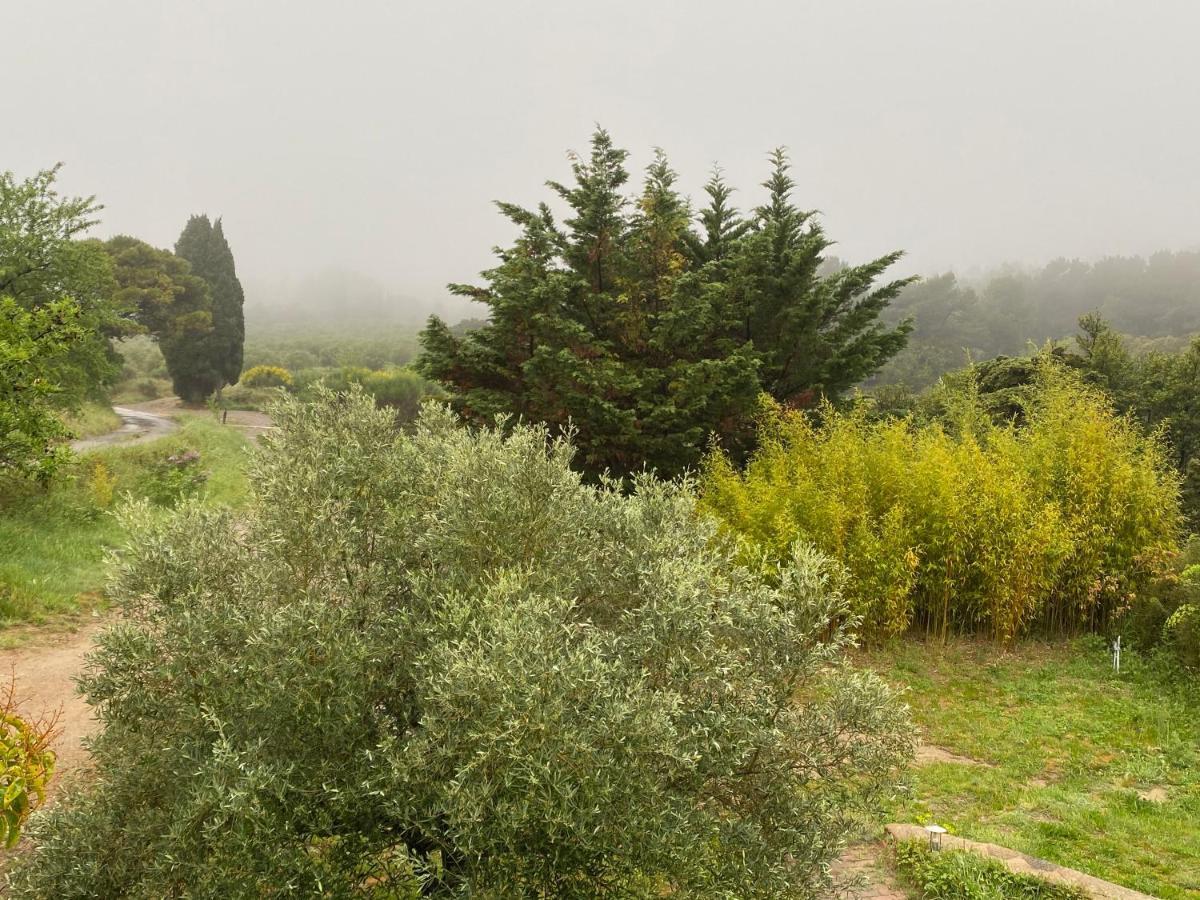 مبيت وإفطار Lézignan-Corbières Mas Des Tournevents المظهر الخارجي الصورة
