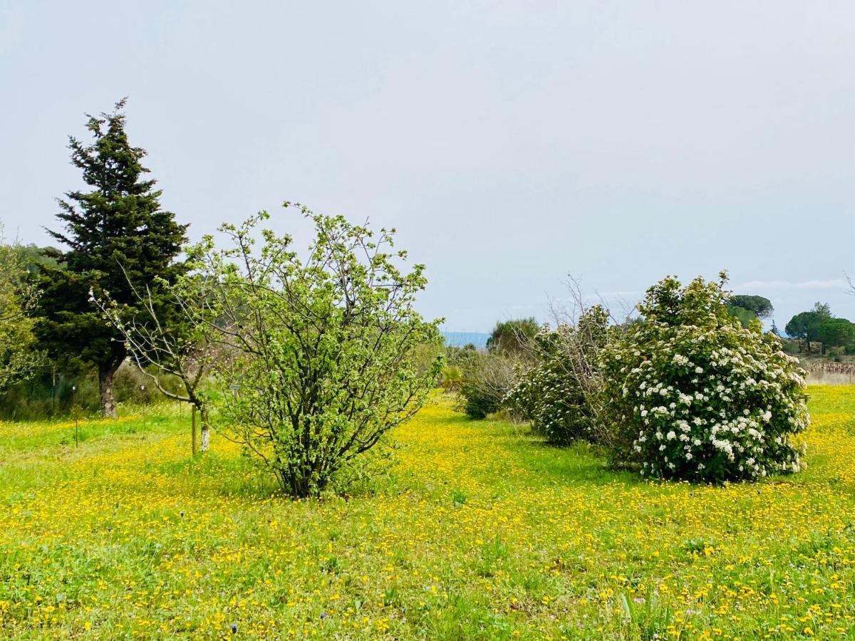 مبيت وإفطار Lézignan-Corbières Mas Des Tournevents المظهر الخارجي الصورة