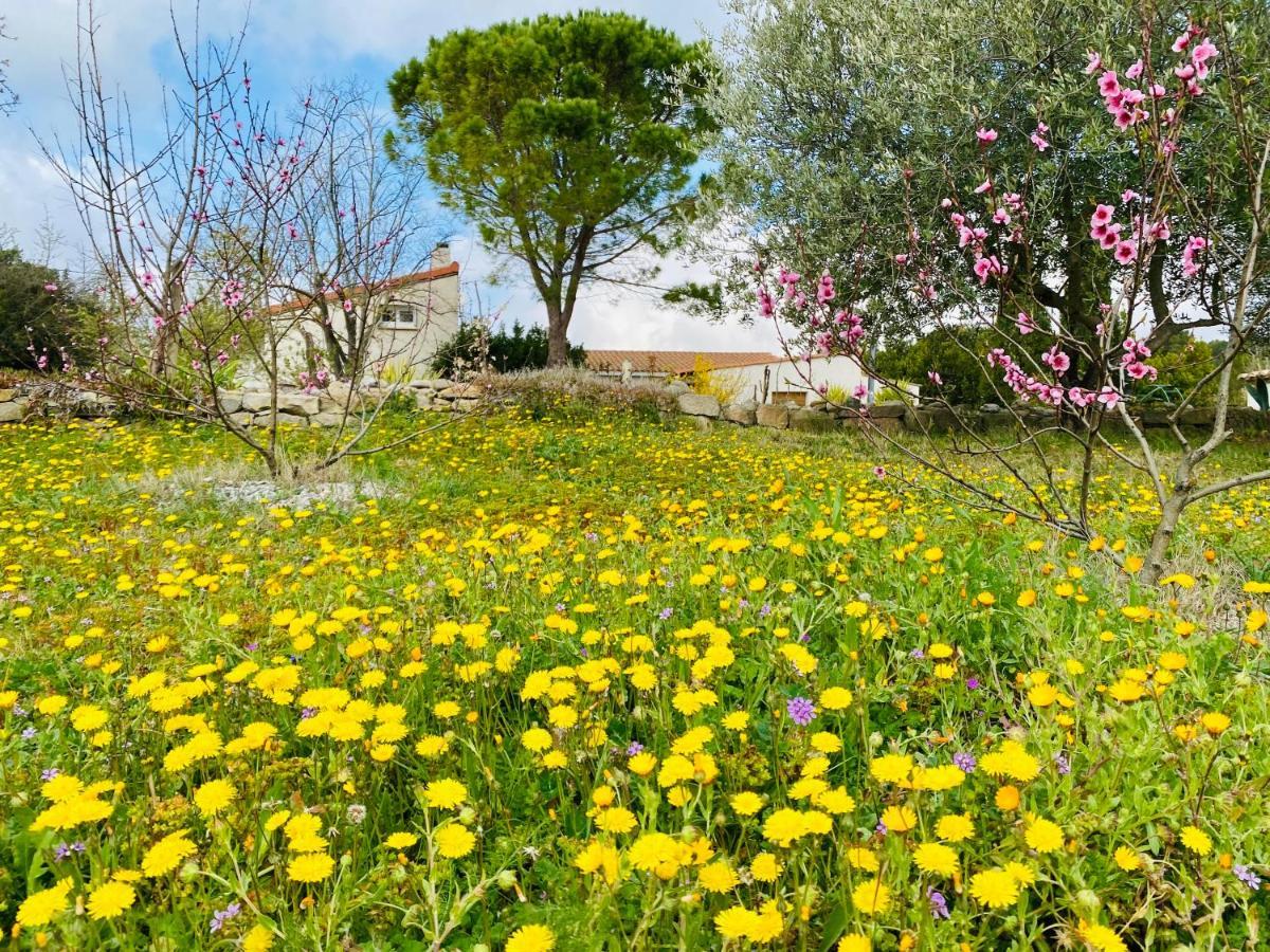 مبيت وإفطار Lézignan-Corbières Mas Des Tournevents المظهر الخارجي الصورة